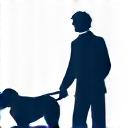 Chien guide handicap visuel
